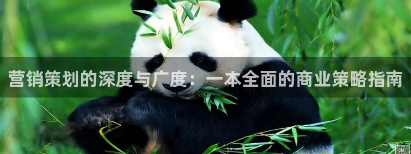 必赢8111e：营销策划的深度