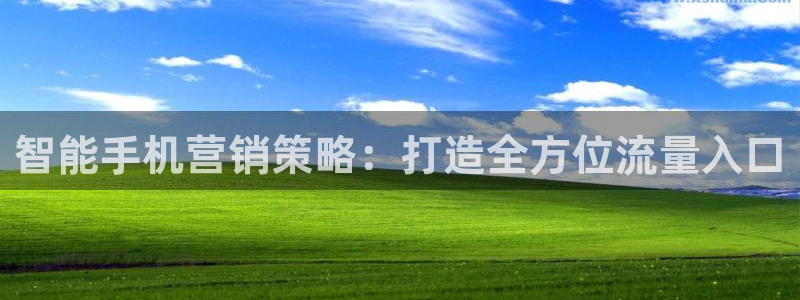 必赢平台官方电话：智能手机营销