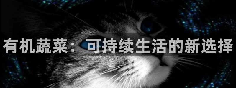 必赢网址手机主页在哪