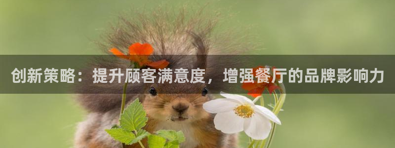 必赢这个软件怎么样