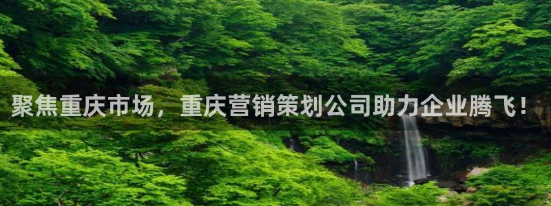 必赢亚赢网站官网下载安卓：聚焦