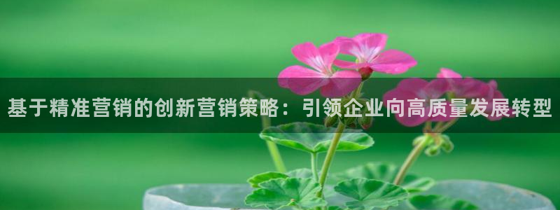 必赢766
