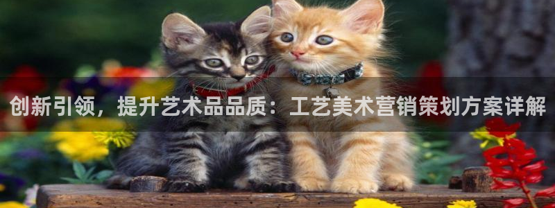 必赢棋盘app下载官网：创新引