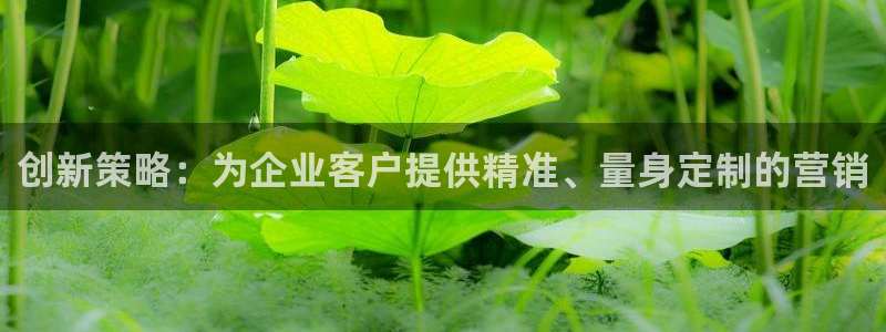 必赢72882网址