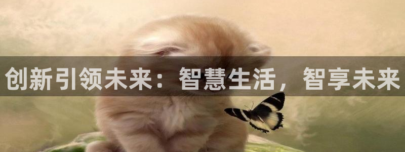 必赢集团winex