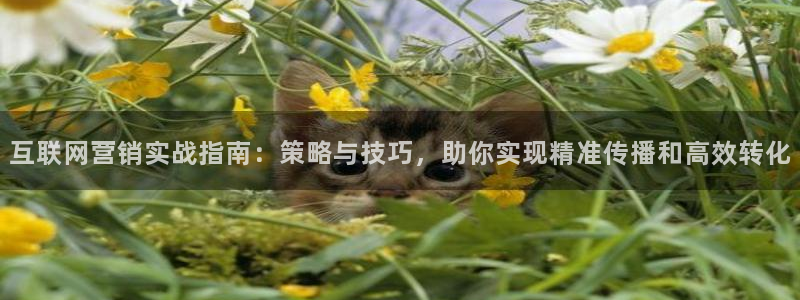 必赢官网网址多少号登录的