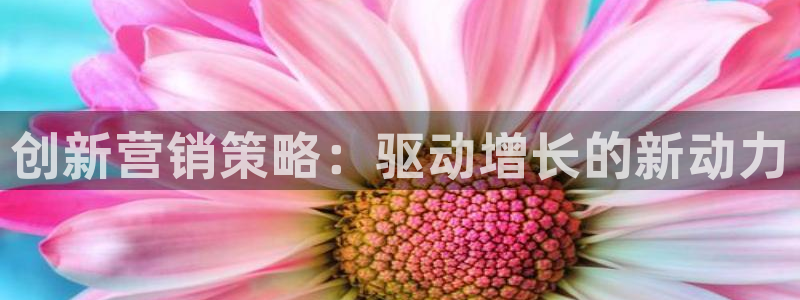 必赢宝app软件下载