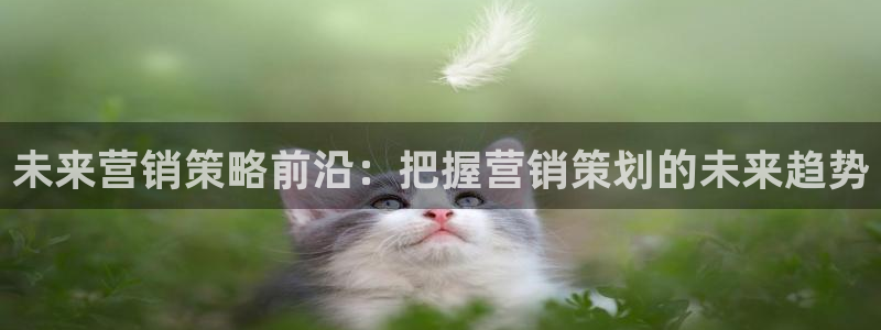 必赢国际437官方