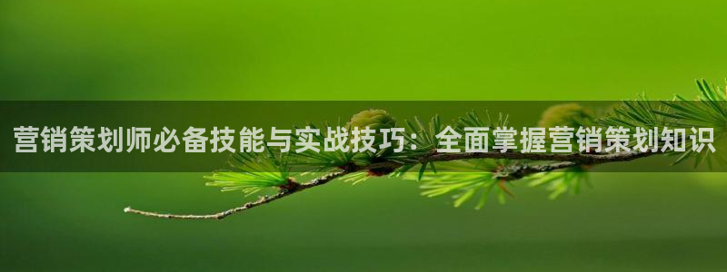 必赢网站是多少啊
