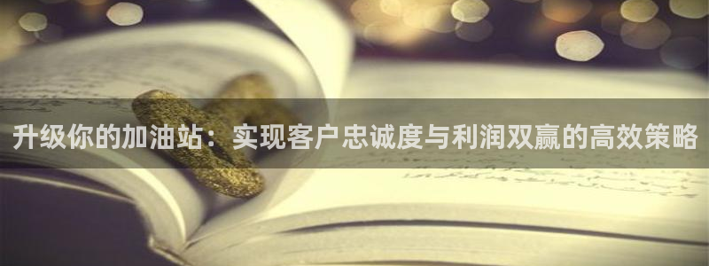 必赢国际app下链接