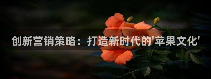 必赢官网app下载安装苹果
