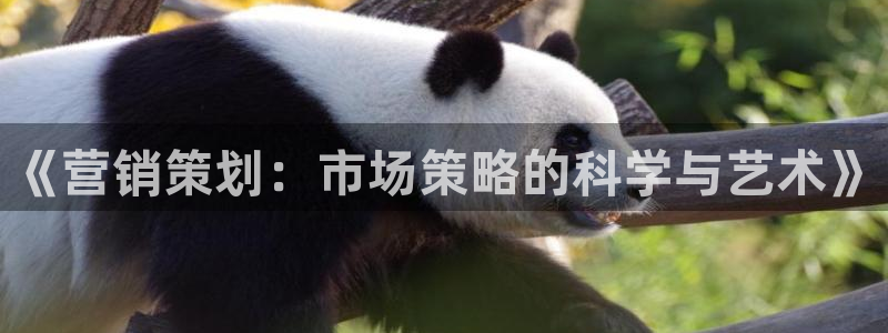 必赢官网app下载安装