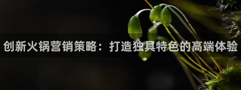 必赢亚赢网站官网下载安装