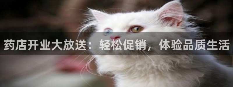 必赢客软件