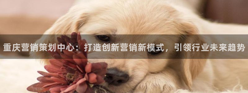 必赢7231：重庆营销策划中心