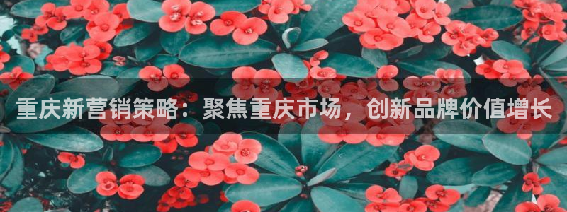必赢app是干什么的