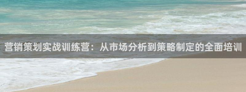 必赢国际软件下载：营销策划实战