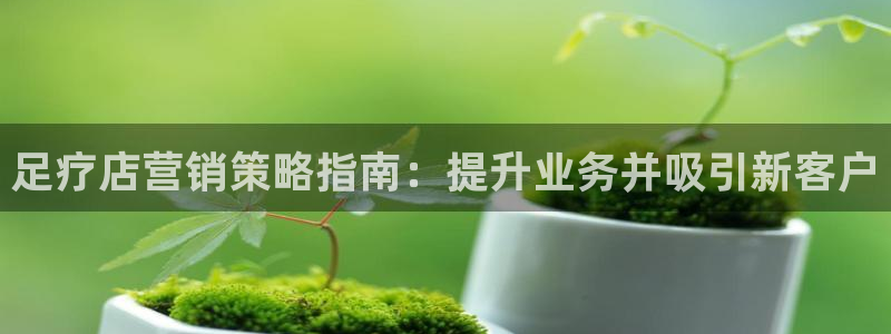 必赢网站是哪一个公司的