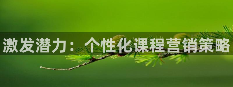必赢官网app下载安装手机版最