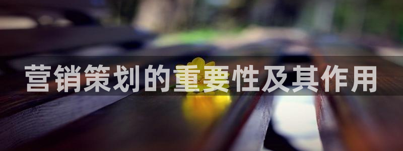 亚洲必赢官网：营销策划的重要性
