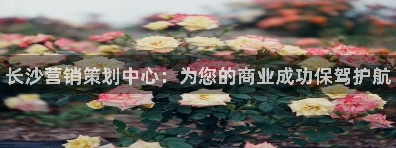 必赢宝app软件下载