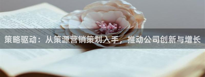 必赢官网网址多少号登录的：策略