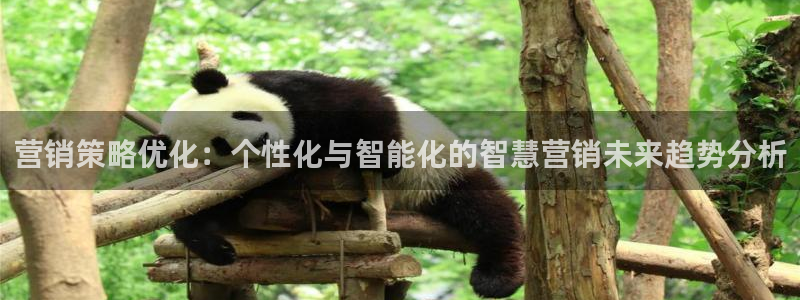 必赢棋盘官网版