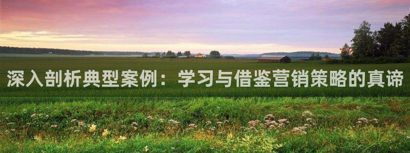 必赢下载安卓版下载