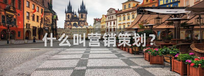 9965必赢游戏特色