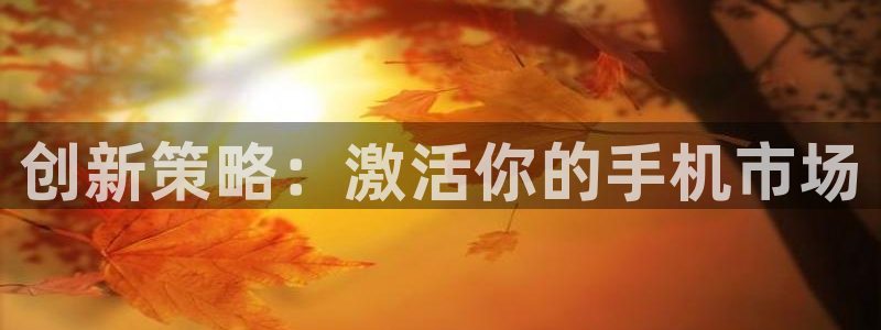 必赢3003平台：创新策略：激