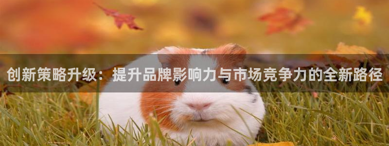 必赢平台怎么样可靠吗