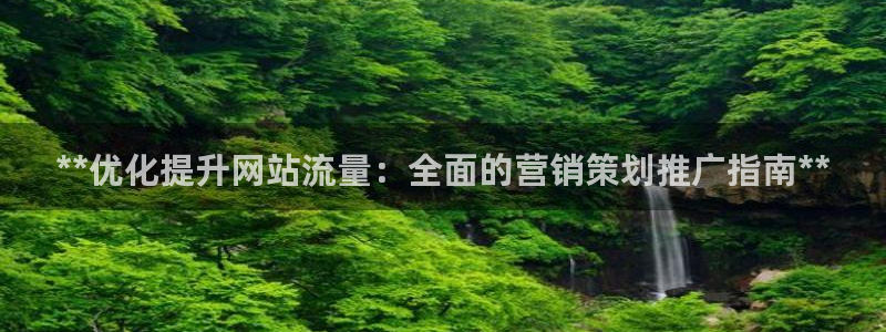 必赢图片：**优化提升网站流量