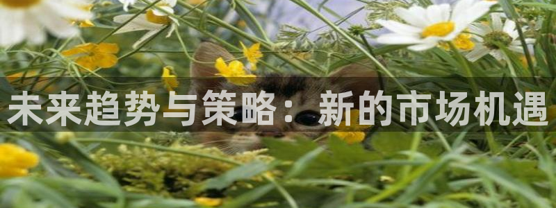 必赢官网app下载安装手机版最新版