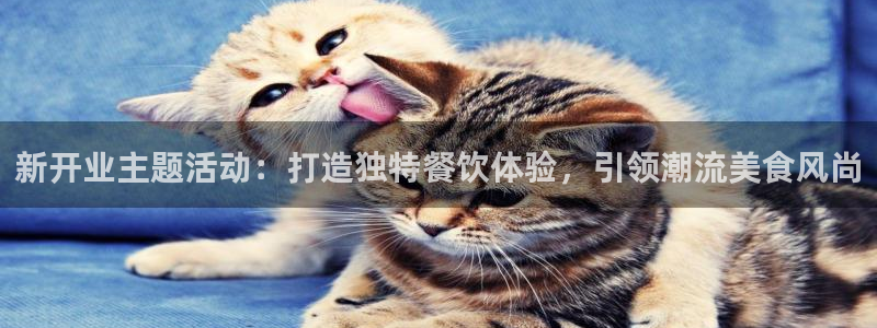 必赢棋脾：新开业主题活动：打造