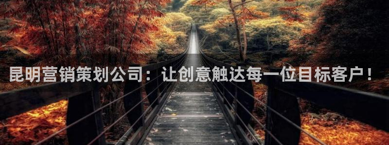必赢手机app下载