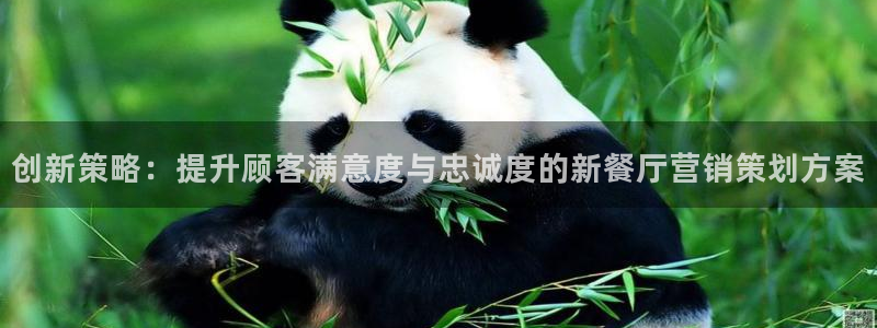 必赢官网网址多少：创新策略：提