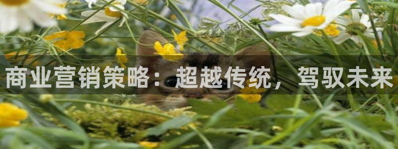 必赢官网：商业营销策略：超越传