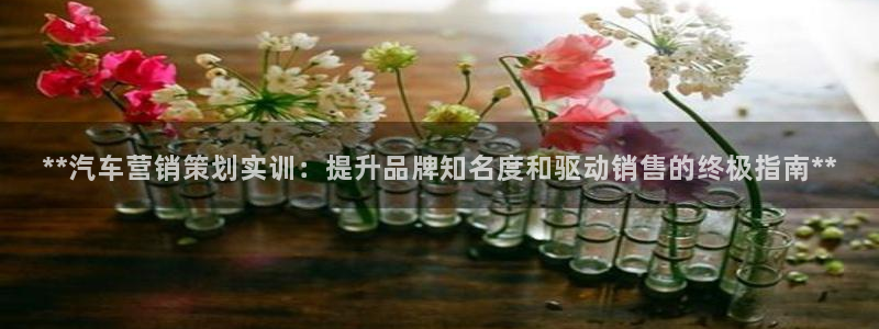 必赢565net官网网站：**